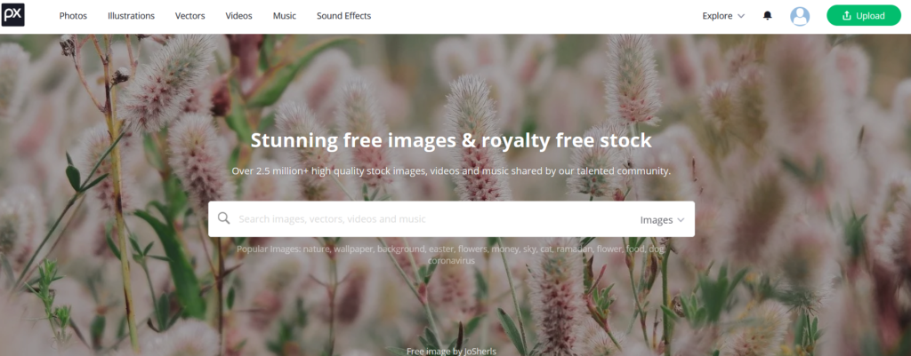 Resource to Create a Website #4: Images